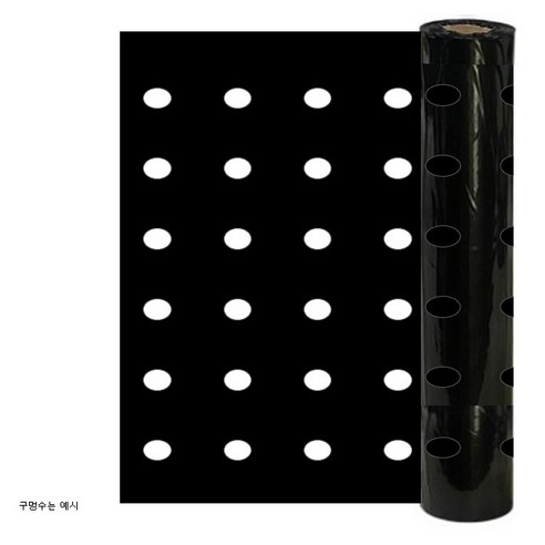 멀칭비닐 유공 상추묘목 흑색 4구 0.03T 170cmx300m