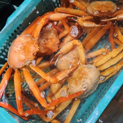 합리적인 가격으로 즐기는 짭짤하고 맛있는 러시아 활 타이탄 홍게!