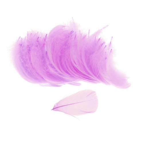깃털 100pcs 6-8 Cm 라이트 컬러 웨딩 장식 깃털 의류, 보라색