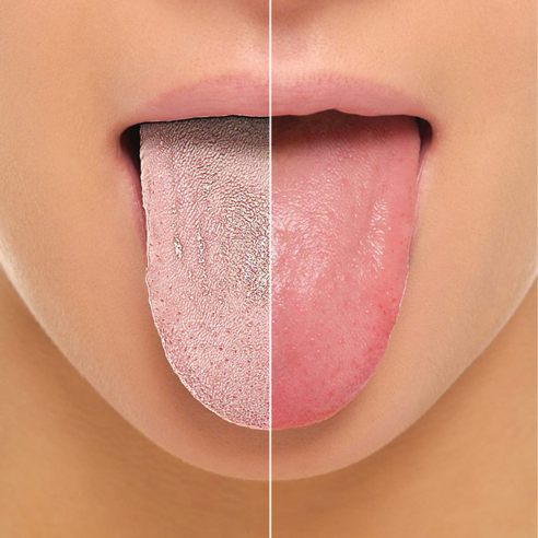 구강 건강을 위한 필수 아이템