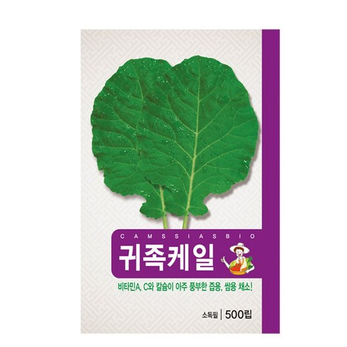 귀족 케일 씨앗, 1개