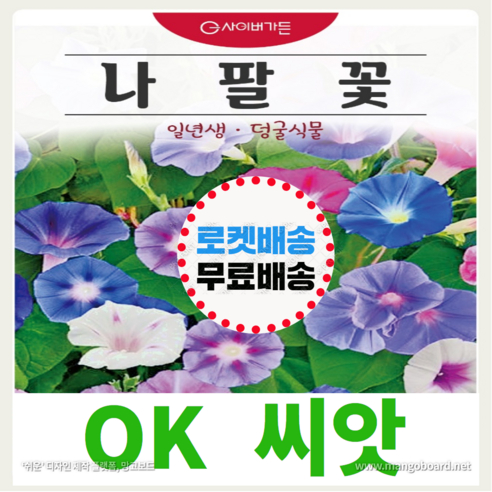 [OK씨앗] [나팔꽃] 나팔꽃씨앗 종자(오케이씨앗), 1개