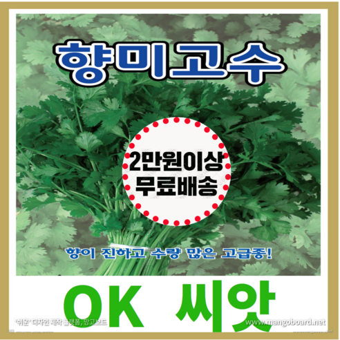 [OK씨앗] [향미고수] 고수씨앗 고수 상추씨앗 모듬채소 모둠채소 모듬쌈채 모둠쌈채 쌈채소 종자(오케이씨앗), 300립