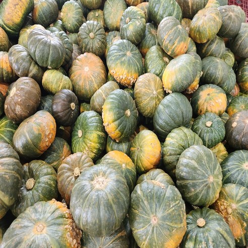 제주올팜 제주 미니 단호박 밤호박 보우짱, 비세척 중품, 1개, 5kg