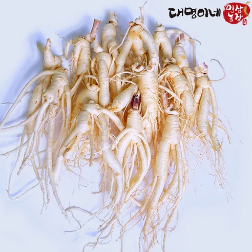 금산인삼 5년근 6년근 세척 무세척 수삼 가정용, 500g(세척, 난발15뿌리), 1개