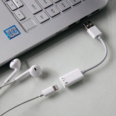 라이트닝 8핀 to USB A 타입 젠더 라이트닝 이어폰사용 PC 노트북, 1개, 화이트, 13cm