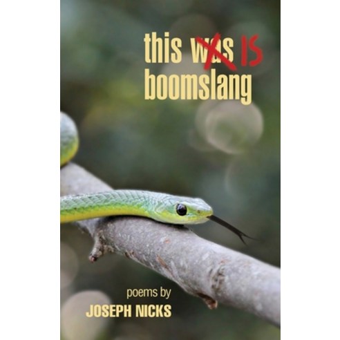 this is boomslang Paperback, Blue Jay Ink