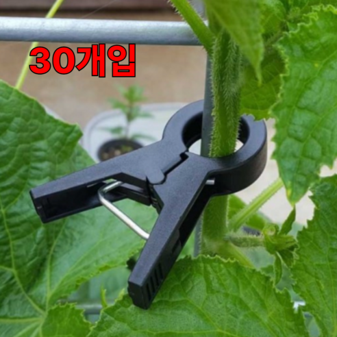 농사 작물 유인 집게 오이 토마토 호박 고추 원예 지지대, 3cm, 30개