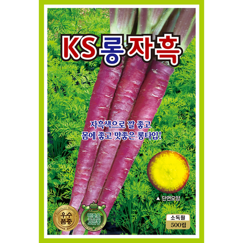 채소야채 씨앗 모음 당근 고추 오이 여주 부추 시금치 수세미, 2개
