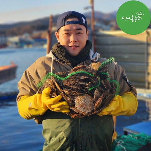 최고다농수산 싱싱한 동해안 참가리비 수입산 가리비 산지직송, 국산 참가리비 (중) 1kg, 1개