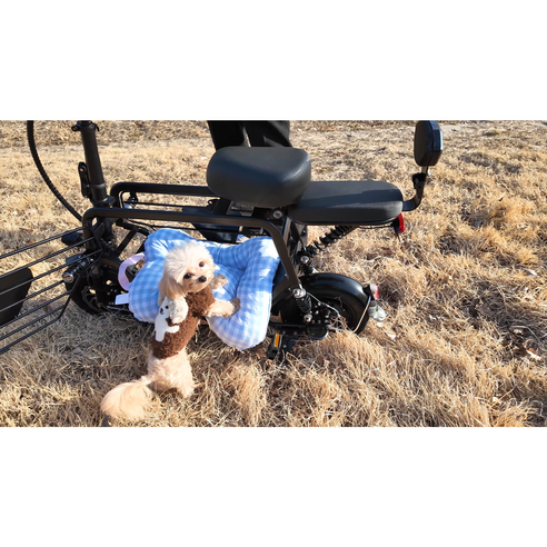 댕댕이와 함께하는 특별한 라이딩, 노르테 전동 스쿠터로 시작하세요!