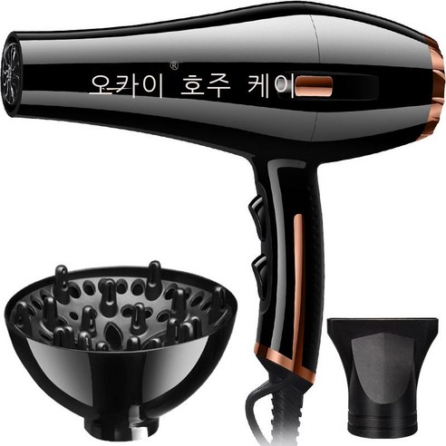홈 전문 헤어 드라이어 패션 헤어 드라이어, 블랙골드+바람막이【AC대전기】
