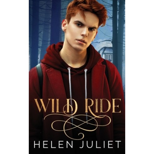 (영문도서) Wild Ride Paperback, Helen Juliet, English, 9781838124083