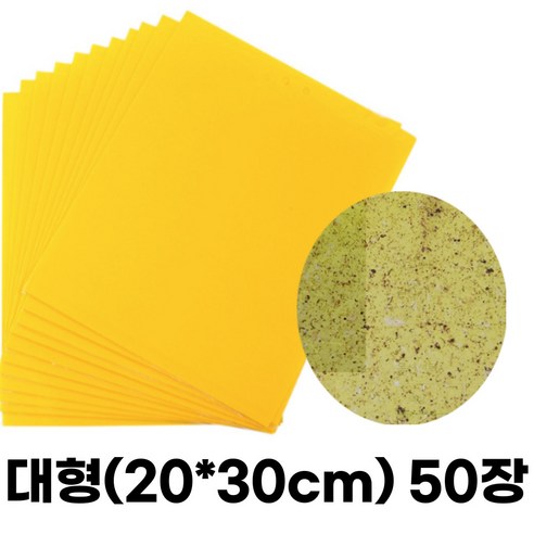 도도이츠 해충 끈끈이 트랩 대형 200X300mm 50개, 1개