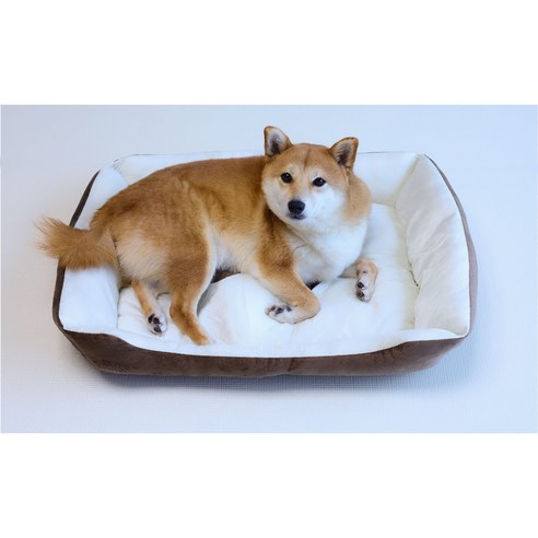 반려동물 공간을 깨끗하고 위생적으로 유지하는 필수품