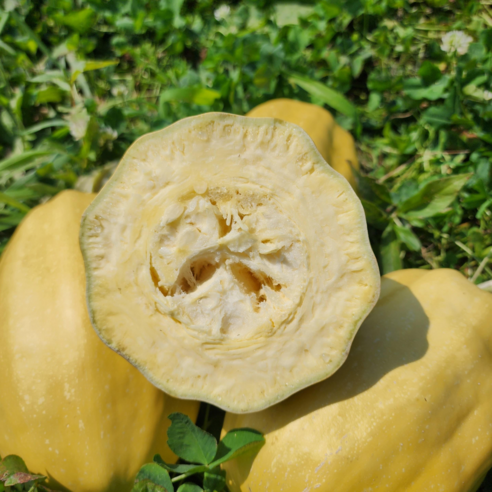 칼로리 걱정 없이 즐기는 건강한 면 요리, 국수호박