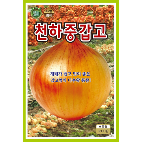 천하중갑고 양파 씨앗 1500립 저장성 좋은 대구종 양파씨