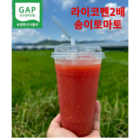 GAP인증 토마토 즙 100%갈아만든 토마토즙, 30개, 110ml