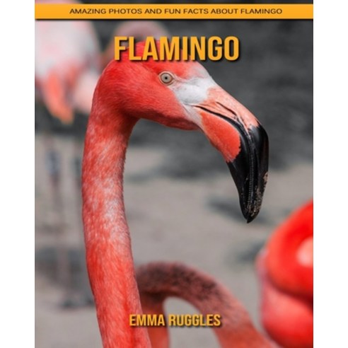 Flamingo: Amazing Photos and Fun Facts about Flamingo Paperback, Independently Published, English, 9798739382986