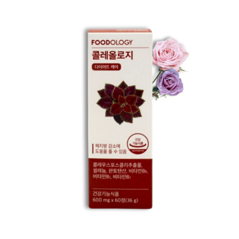 서현 빨간통 다이어트