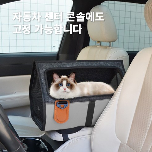 댕댕이, 냥냥이, 토끼를 위한 최고의 선택, 66% 할인 펫 이동 토트백!