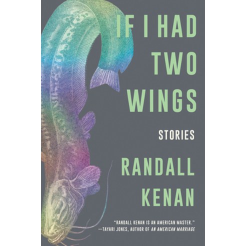 If I Had Two Wings: Stories Paperback, W. W. Norton & Company, English, 9780393867404