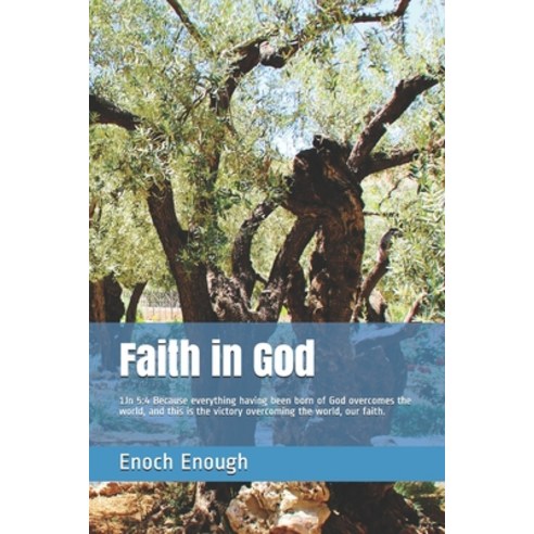 Faith in God: 1Jn 5:4 Because everything having been born of God overcomes the world and this is th... Paperback, Independently Published, English, 9781520532868