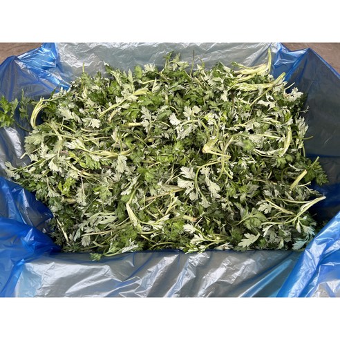 봄의 향기를 가득 담은, 거문도 해풍 쑥으로 건강한 밥상을!