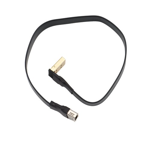 DisplayPort 리본 확장 케이블 남성 여성 플랫 EMI 차폐 FPC 케이블 DP 90도 각도 커넥터 (P3-P4) 30cm, 보여진 바와 같이, 하나