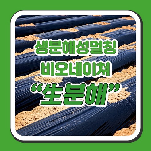 농사, 이제 환경까지 생각하세요? 친환경 멀칭 비닐, 고민 해결부터 선택 가이드까지! 생분해농사용필름500m