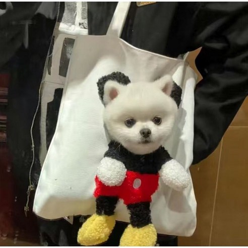 강아지에코백 애견가방 고양이 캔버스 숄더백 애완동물 얼굴 구멍뚫린 장바구니 애완견 애완묘, 화이트