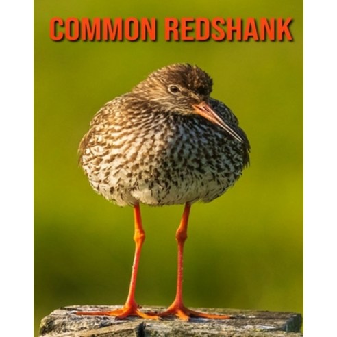 (영문도서) Common Redshank: Amazing Facts & Pictures Paperback, Independently Published, English, 9798508994112