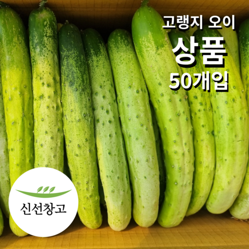 백다다기오이 백오이 오이지 오이 소박이용 50개입, 1박스, 못난이 10kg