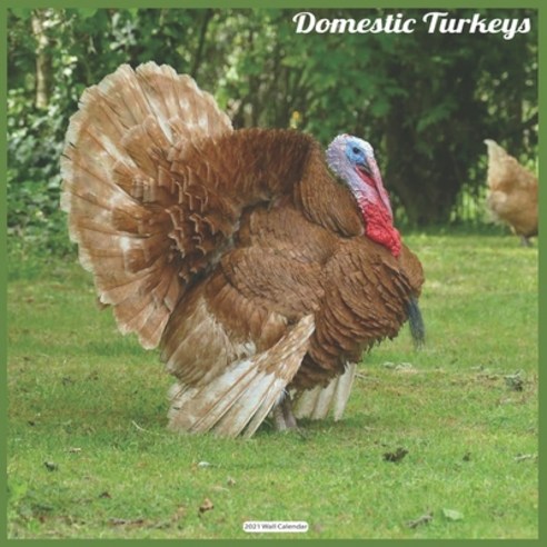 Domestic Turkeys 2021 Wall Calendar: Official Turkeys Calendar 2021 Wall Calendar Paperback, Independently Published, English, 9798580157481
