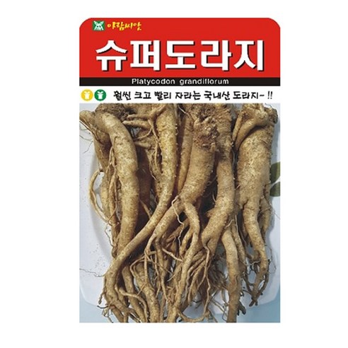 슈퍼 도라지 씨앗 1000립, 1개