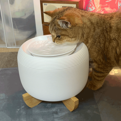 페키움 강아지 고양이 반려동물 자동 정수기 음수대 급수기(필터 1박스 증정), (전용필터 3개 증정) 페키움 자동정수기 1개, (전용필터 3개 증정)페키움 자동정수기 1개