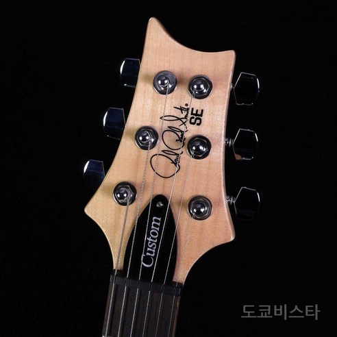 PRS SE Custom 24 차콜: 영감을 불어넣는 음악적 동반자