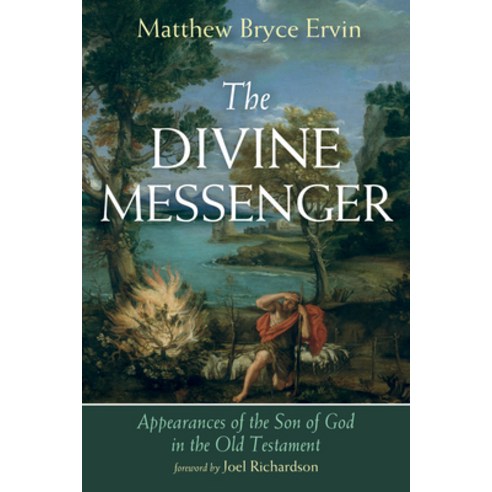 (영문도서) The Divine Messenger Paperback, Wipf & Stock Publishers, English, 9781666771619