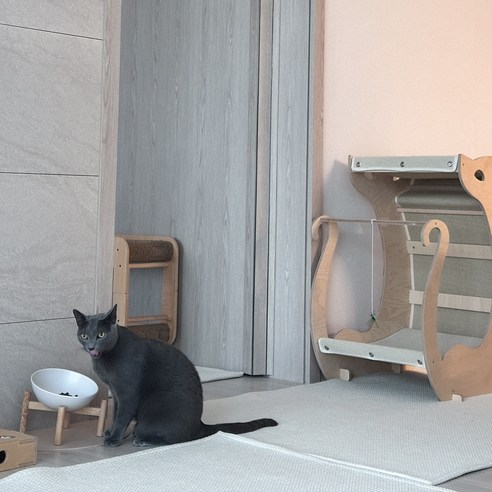 고양이 강아지 식기매트 논슬립 실리콘매트 밥그릇 물그릇, 1개