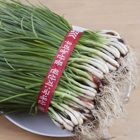 야채삼촌 전라도 흙쪽파 1단 (1kg 내외), 1kg, 1개
채소 야채삼촌 전라도 흙쪽파 1단 (1kg 내외), 1kg, 1개
채소