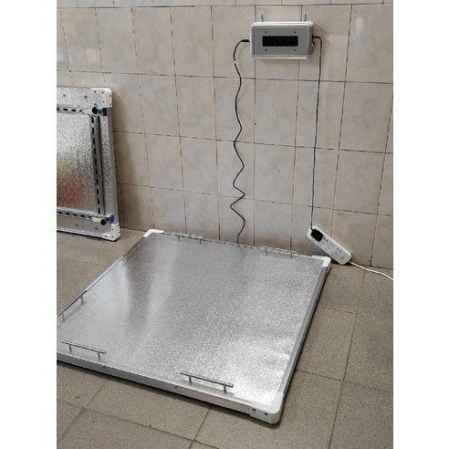 정확하고 안전한 체중 측정의 혁신