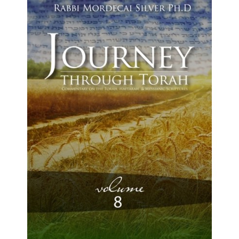 Journey Through Torah Volume 8 Paperback, Independently Published