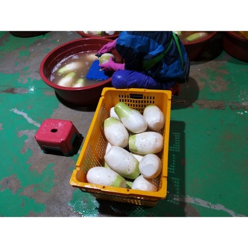 장인의 손길이 담긴 최고의 무우 장아찌