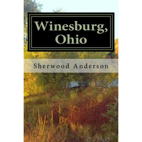 Winesburg Ohio Paperback, Createspace Independent Pub..., English, 9781974184385