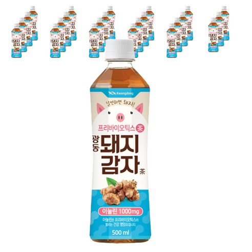 광동 돼지감자차, 500ml, 24펫