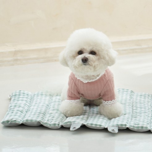 개과천선 어프 강아지 방석 애견 고급 꿀잠 사각 침대 고양이 쿨링원단 쿠션 사계절, 그린, 1개