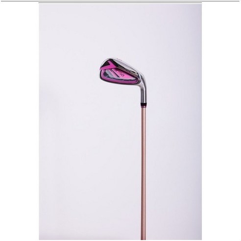 완벽한 여성 골프채 선택