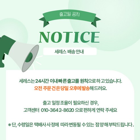 수사해당화로 시작하는 나만의 작은 정원, 일상에 행복을 더하세요.