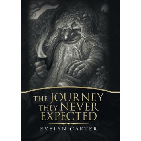 The Journey They Never Expected Hardcover, Xlibris Us, English, 9781796013610