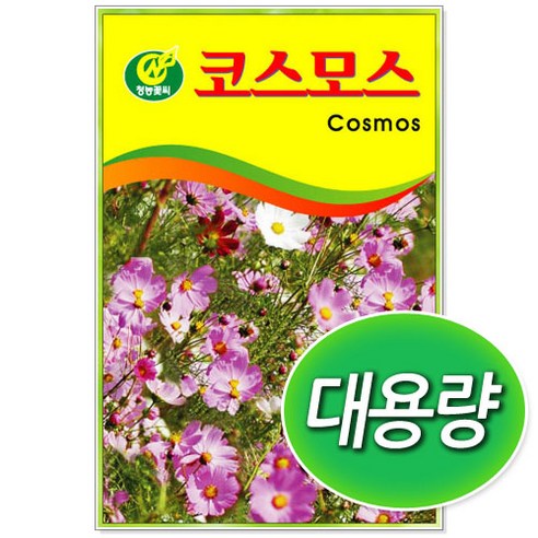 코스모스씨앗 100g 대용량 꽃씨앗, 1개